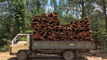 The secret to buying (and producing) sustainable wine