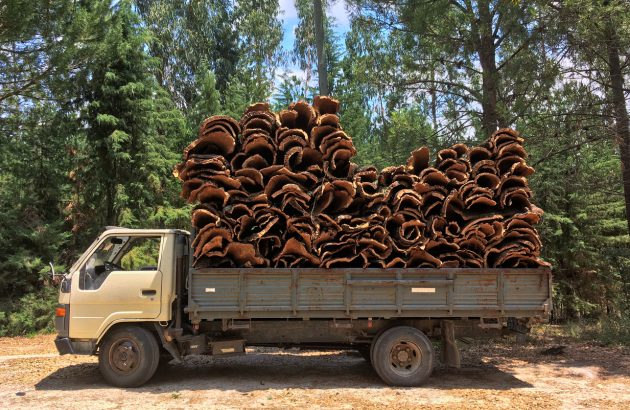The secret to buying (and producing) sustainable wine