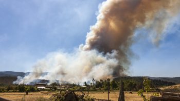 Wildfires threaten the Itata and Bio Bio wine regions