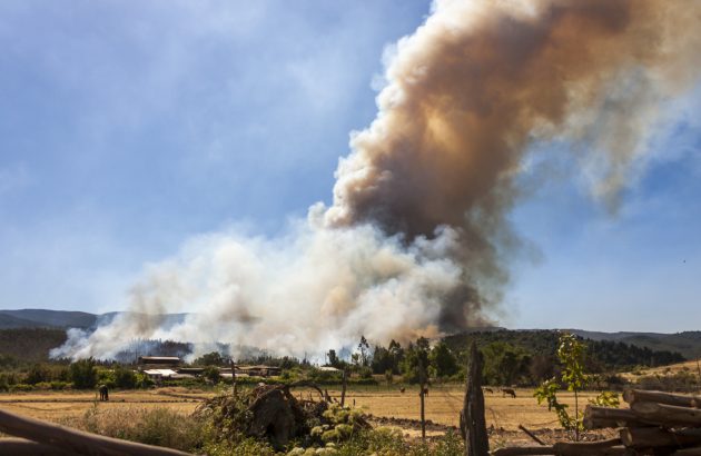 Wildfires threaten the Itata and Bio Bio wine regions