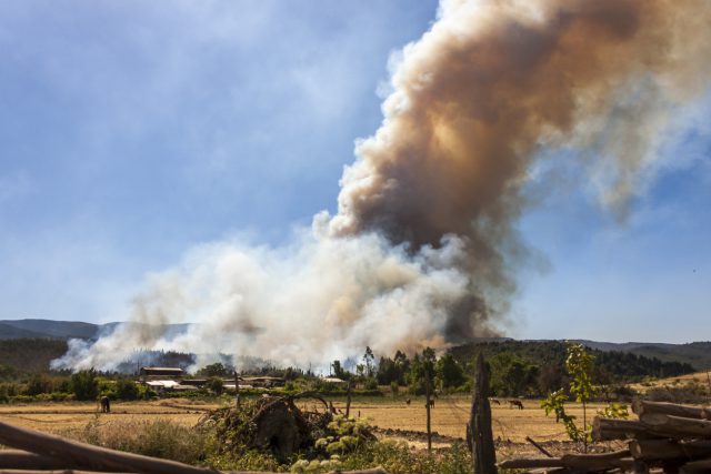 Winemakers in Chile’s Itata and Bio Bio valleys are on alert as fast-moving wildfires spread across the centre-south of the country. A national state of catastrophe has been declared as growers prepare to defend vineyards amid extreme conditions.
