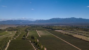 Bodega Norton remains ‘fully operational’ despite major restructure