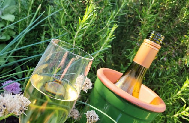 Plumpton College pledges £500,000 to bolster English wine skills