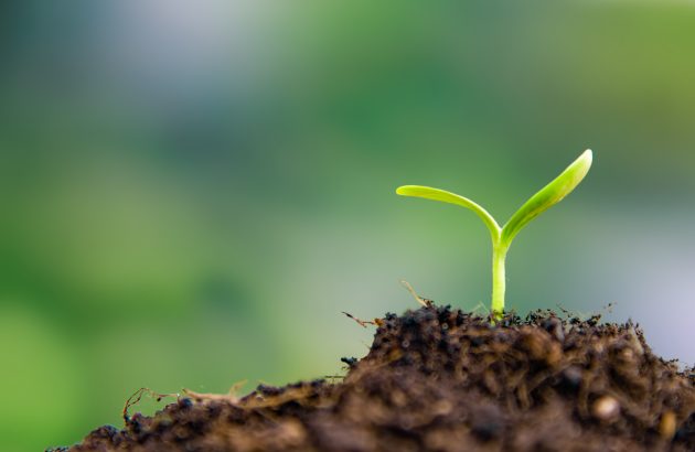 What will the fine wine market do in 2026?