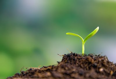 What will the fine wine market do in 2026?