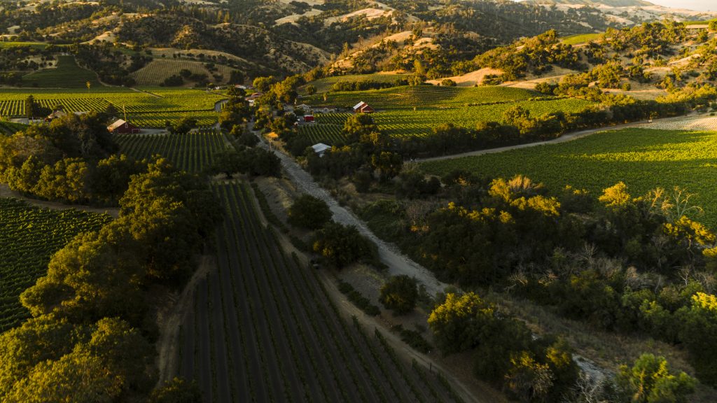 Why wine tourism matters more than ever: FINE 2026 heads back to Spain