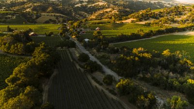 Why wine tourism matters more than ever: FINE 2026 heads back to Spain