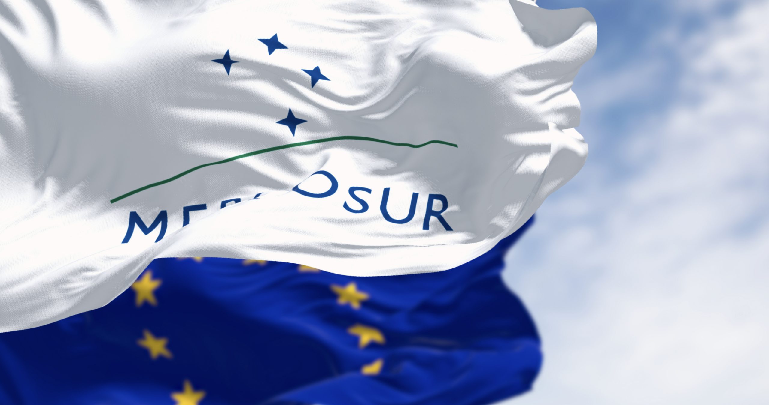 thedrinksbusiness.com - Sophie Arundel - European Parliament move stalls EU Mercosur trade deal, warns wine sector