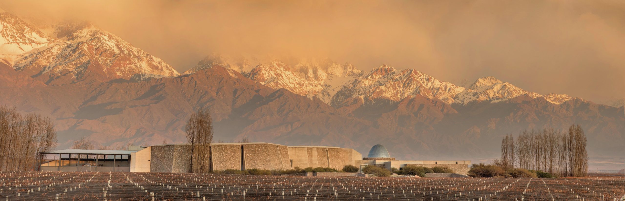 thedrinksbusiness.com - Amelie Maurice-Jones - Bubbling Under: Can sparkling wine drive Argentina's premium push?