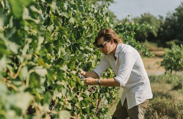 Santiago Marone Cinzano: ‘my generation wants wines that are ready to drink’