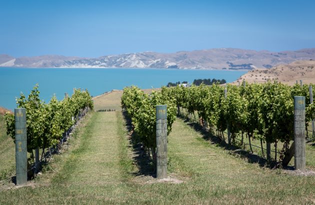 NZ Sauvignon Blanc: moving the Marlborough conversation on