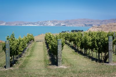 New Zealand Sauvignon Blanc: moving on from Marlborough
