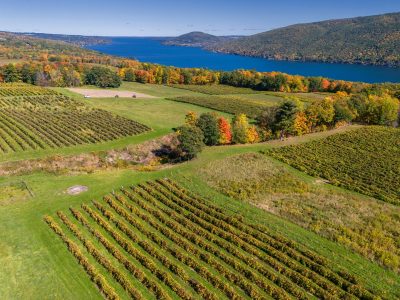 Cabernet Franc on track to become the official grape variety of New York State