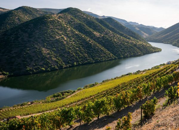 What Portugal can do for the UK wine trade