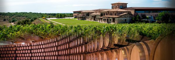 Pata Negra rosé blends innovation with tradition