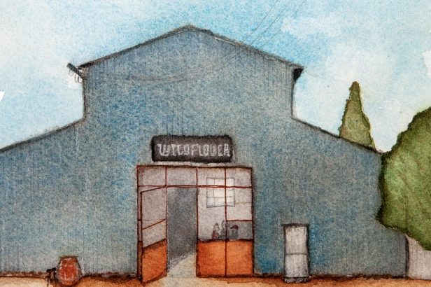 Sydney’s Wildflower Brewery and Blending to move to rural location