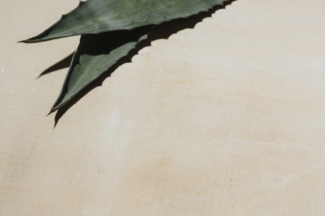 Mexican authorities have arrested the mayor of Tequila on suspicion of running an extortion scheme targeting Tequila and mezcal producers. Investigators allege the operation involved collusion with the violent Jalisco New Generation Cartel.