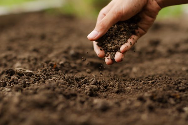 IWCA releases first cross industry benchmark for vineyard soil carbon