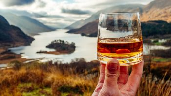 US tariffs hit Scotch whisky as exports fall 15% by volume