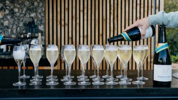 Ridgeview Wine Estate finds new owner after administration