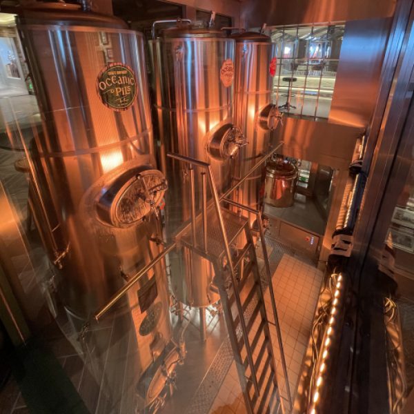 Cruise ship brews beer from desalinated seawater