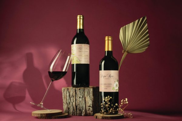 Marlène Soria: from hobby to winemaking stardom