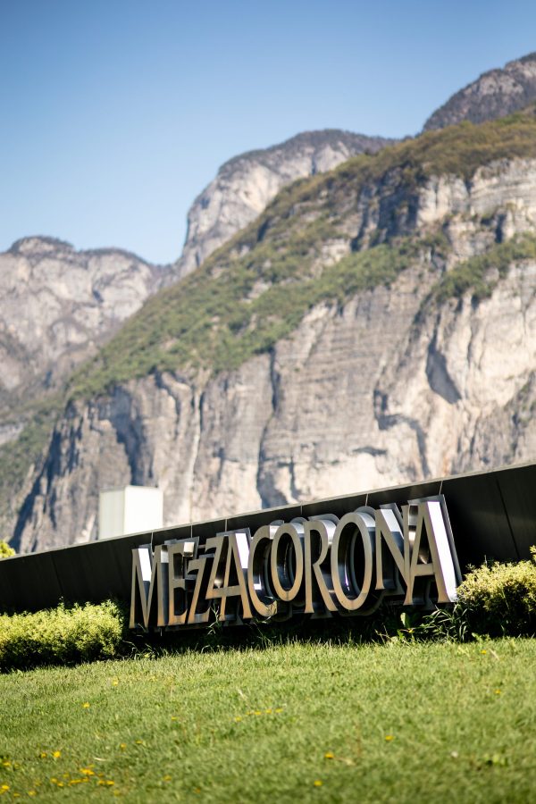 What makes a great site for Trentino Pinot Grigio?