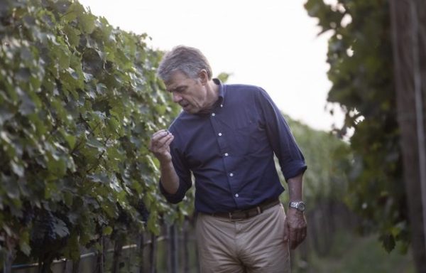 Renzo Cotarella wins Winemakers’ Winemaker award 2026