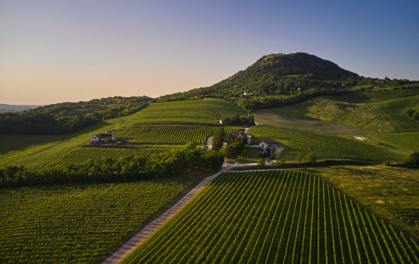 Wines of Hungary ramps up consumer visibility to drive growth in China and South Korea