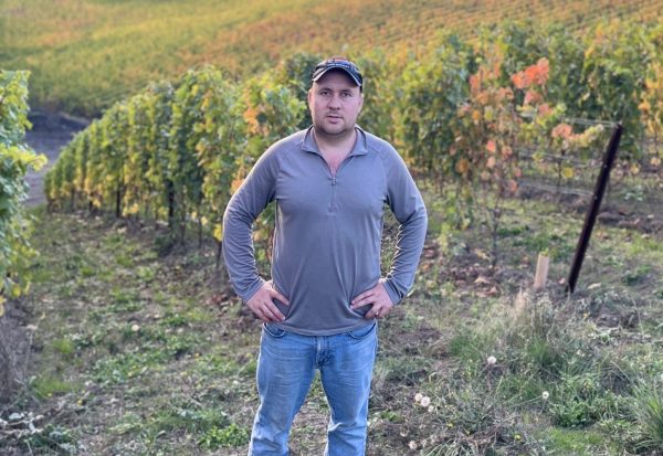 Golden Vines scholarships open to wine professionals affected by conflict
