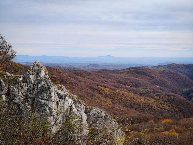 Hungary has approved a revision of the production rules governing Tokaj wines, published in the Official Journal of the European Union. The update reshapes categories, alters technical requirements and adjusts vineyard and labelling provisions across the historic region.