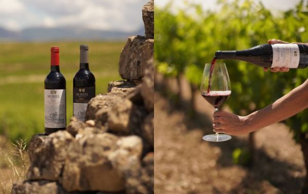 Bodegas Muriel: 100 years of legacy