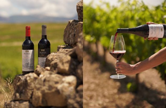 Bodegas Muriel: 100 years of legacy