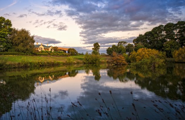 Tasmanian whites woo South Korea 