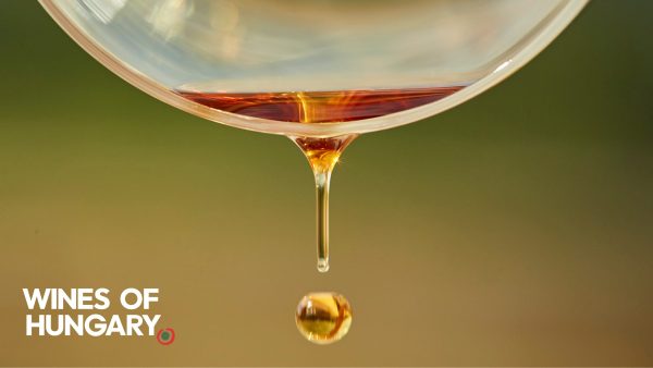 Three of the trends driving Wines of Hungary’s UK success