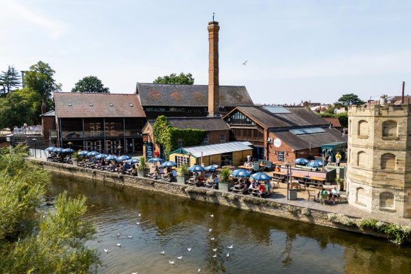 Wells & Co sees sales revenue increase to £66.2 million