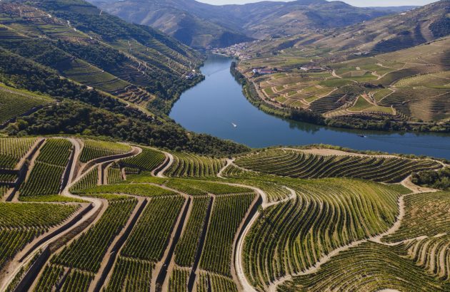 ‘Worth the wait’: Douro winemakers declare 2024 vintage Ports