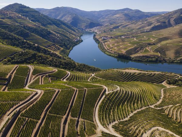 ‘Worth the wait’: Douro winemakers declare 2024 vintage Ports
