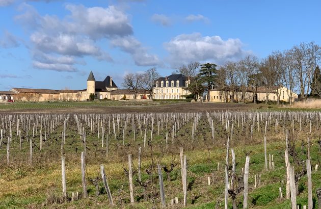 Bordeaux 2025 en primeur: Sauternes & Barsac ‘very rich, very powerful’