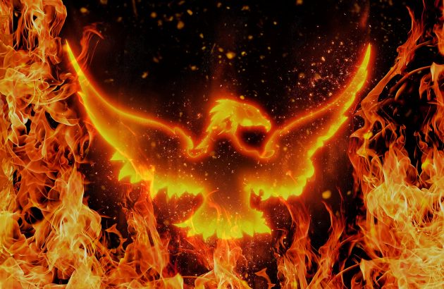 Phoenix rising: how Yarra Valley found its feet amidst phylloxera