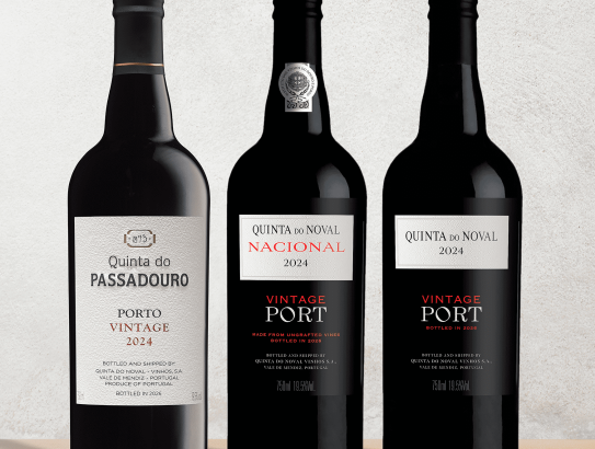 Quinta Do Noval declares ‘exceptional’ ports from 2024 vintage
