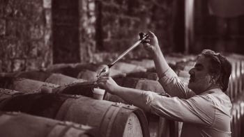 ‘Always, we are on high alert’: Chateau Musar on winemaking in a warzone