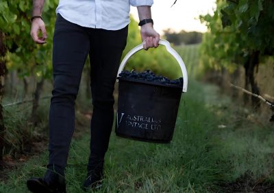 Australian Vintage scores £12.5m in refinancing