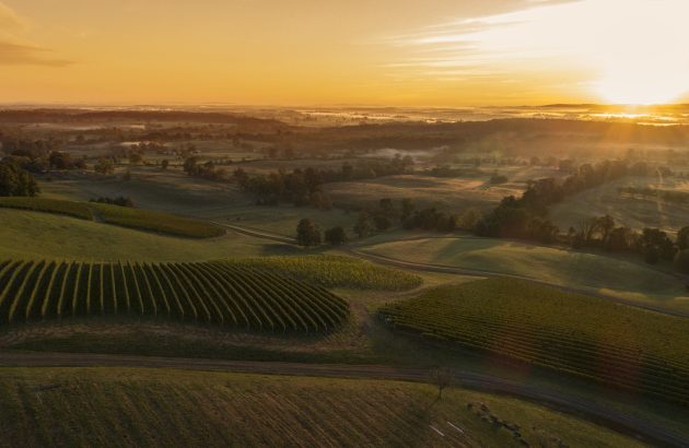 Virginia Wine Board: ‘We have the confidence to return to London’