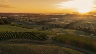 Virginia Wine Board: ‘We have the confidence to return to London’