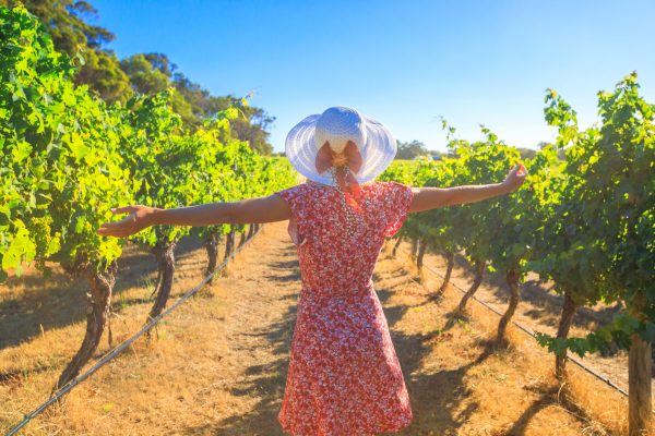 Australia shocked as government slashes wine tourism budget