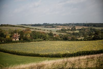 Silverhand champions ‘more accessible, more local, more sustainable’ English wines