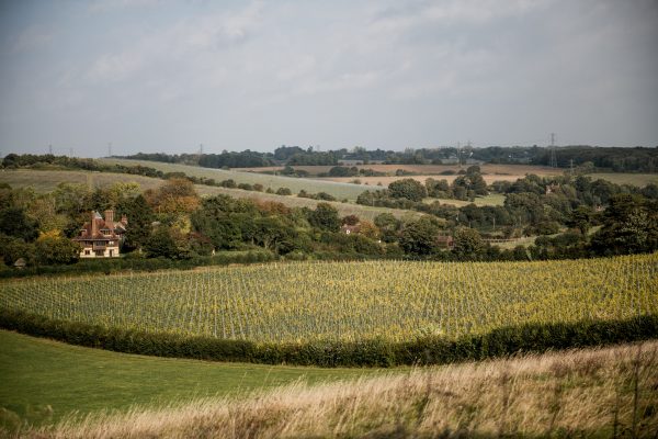 Silverhand champions ‘more accessible, more local, more sustainable’ English wines
