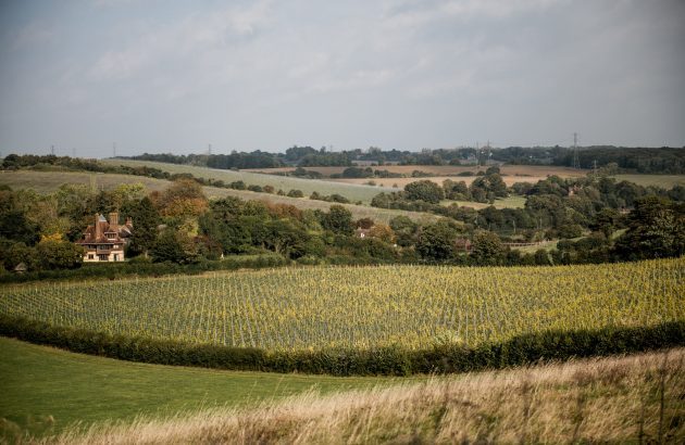 Silverhand champions ‘more accessible, more local, more sustainable’ English wines