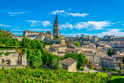 Bordeaux launches €20m fund to tackle vineyard crisis